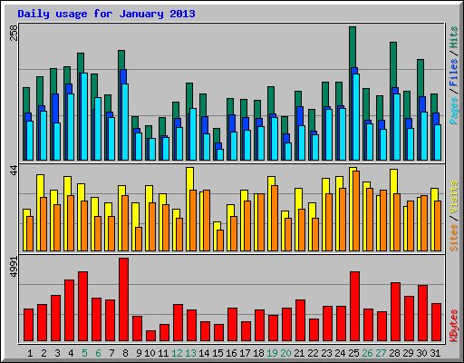 Daily usage for January 2013