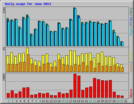Daily usage for June 2013