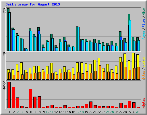 Daily usage for August 2013