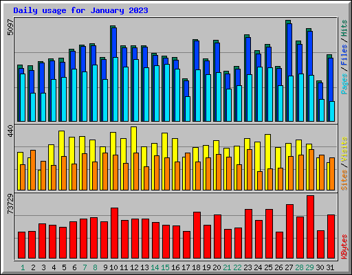 Daily usage for January 2023