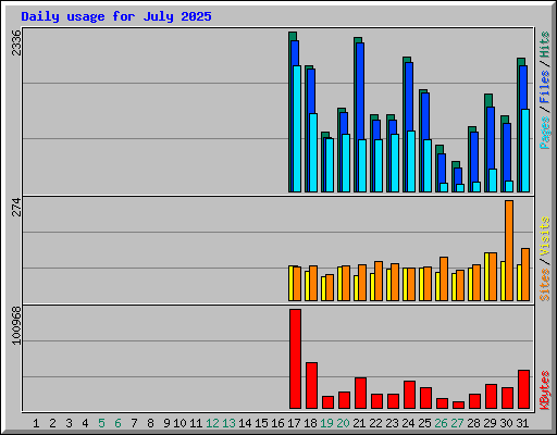 Daily usage for July 2025