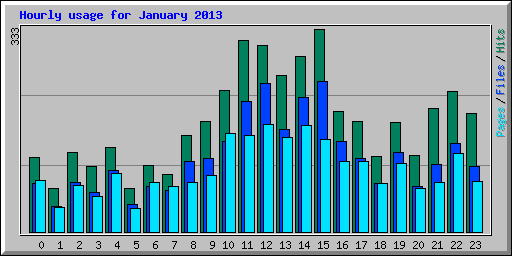 Hourly usage for January 2013