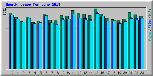 Hourly usage for June 2013