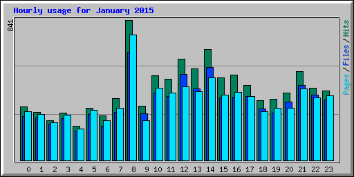 Hourly usage for January 2015