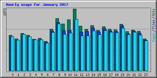 Hourly usage for January 2017