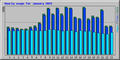 Hourly usage for January 2023