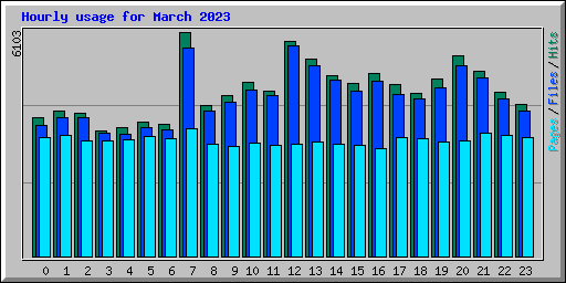 Hourly usage for March 2023