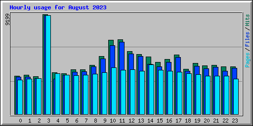 Hourly usage for August 2023