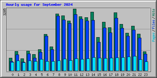 Hourly usage for September 2024
