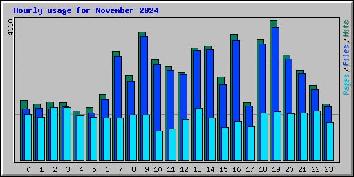 Hourly usage for November 2024