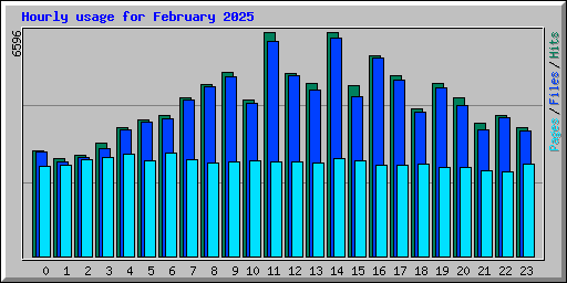 Hourly usage for February 2025