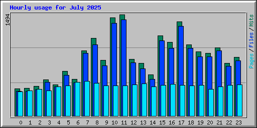 Hourly usage for July 2025