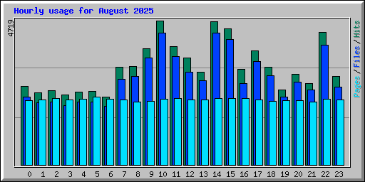 Hourly usage for August 2025