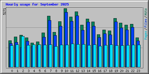 Hourly usage for September 2025