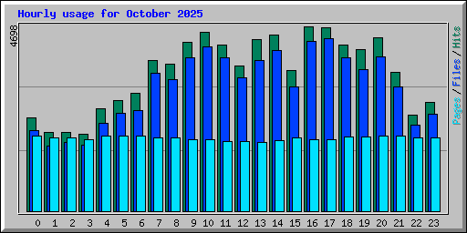 Hourly usage for October 2025