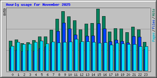 Hourly usage for November 2025