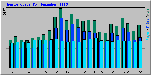 Hourly usage for December 2025