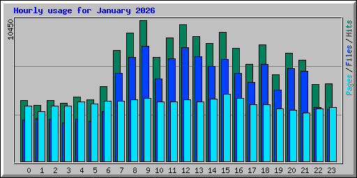 Hourly usage for January 2026