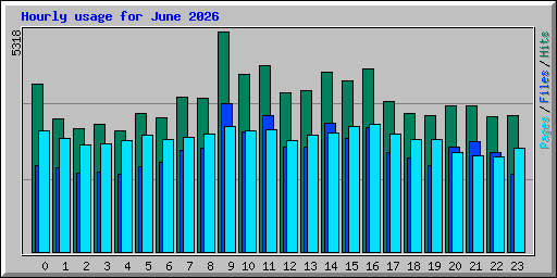 Hourly usage for June 2026