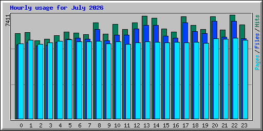 Hourly usage for July 2026
