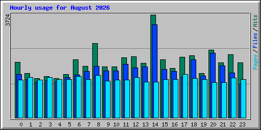 Hourly usage for August 2026